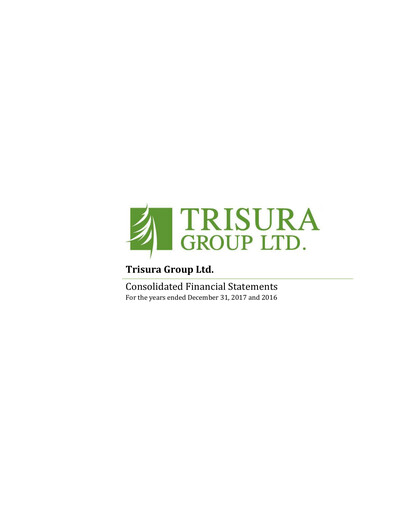Thumbnail Trisura Group Financial Statement 2017