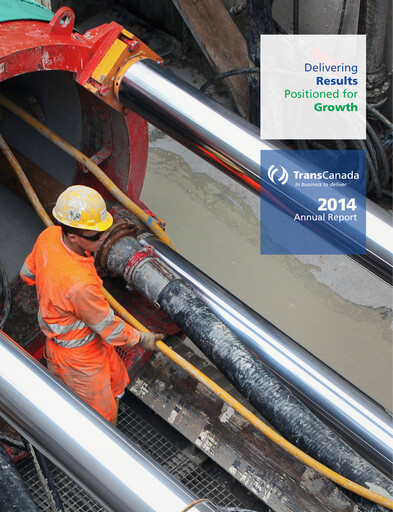 Miniature TC Energy
 Rapport annuel 2014