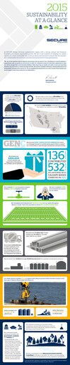 Thumbnail Secure Energy Services Sustainability Report 2015