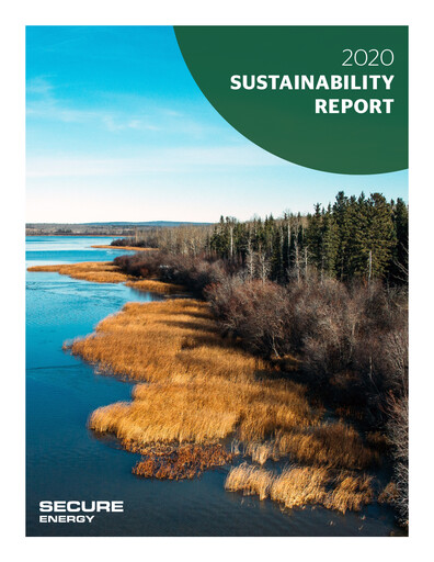 Miniature Secure Energy Services Rapport de durabilité 2020