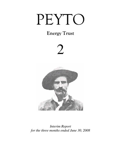 Thumbnail Peyto Exploration & Development Quarterly Report 2008-q2