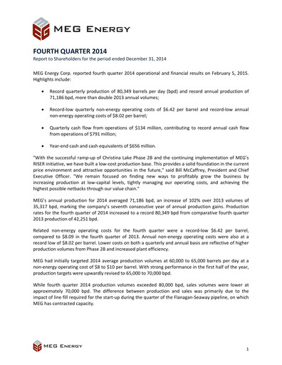 Miniature MEG Energy Bilan financier 2014