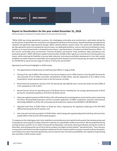 Miniature MEG Energy Bilan financier 2018