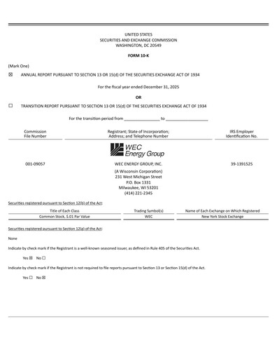 Thumbnail WEC Energy Group Financial Report 2025
