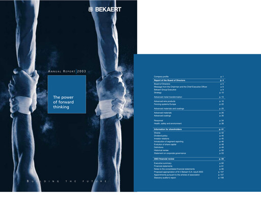 Thumbnail NV Bekaert Annual Report 2003