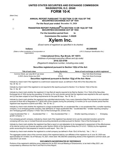 Thumbnail Xylem Annual Report 2020