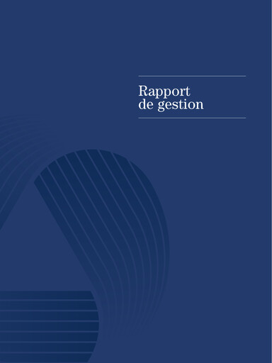 Miniature Immobel Rapport annuel 2010