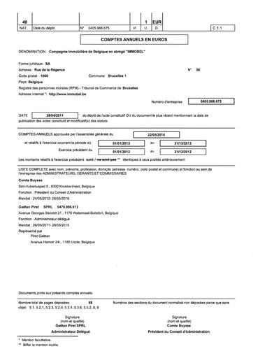 Miniature Immobel Bilan financier 2013