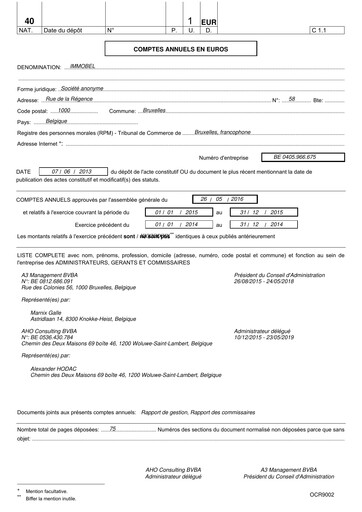 Miniature Immobel Bilan financier 2015