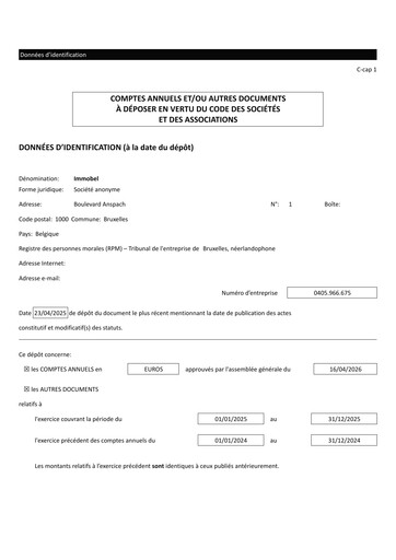 Miniature Immobel Bilan financier 2025