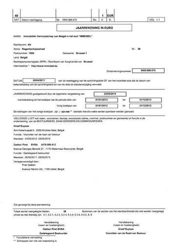 Miniature Immobel Bilan financier 2013
