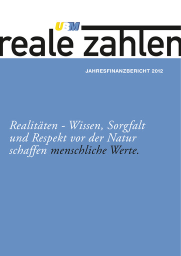 Thumbnail UBM Development Financial Report 2012