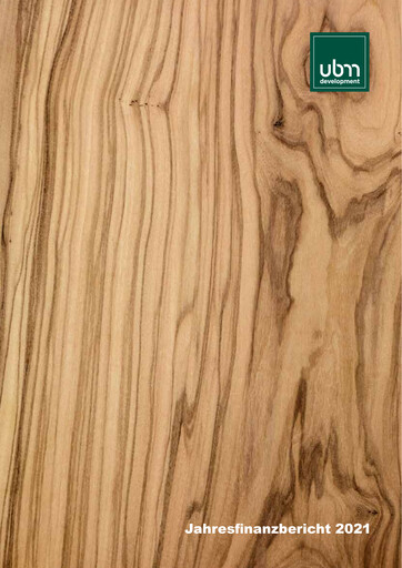 Thumbnail UBM Development Financial Report 2021