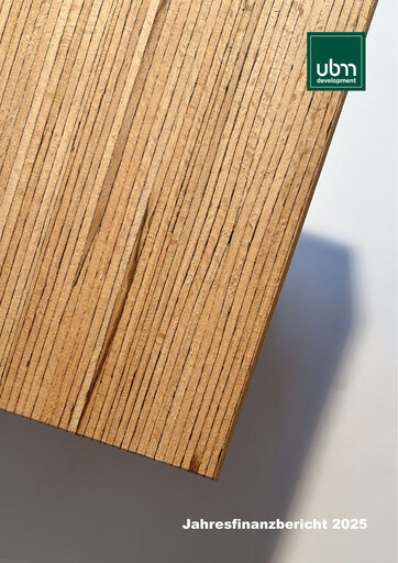 Thumbnail UBM Development Financial Report 2025