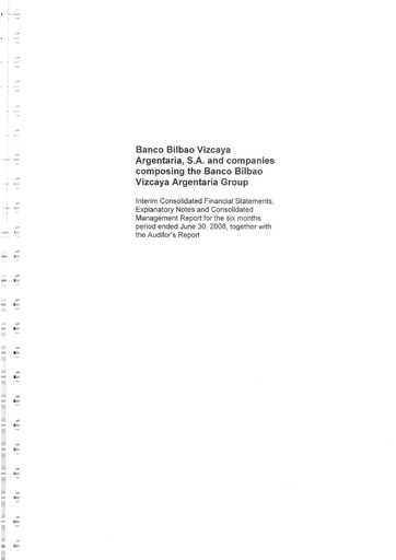 Thumbnail UBM Development Financial Statement 2008-h1