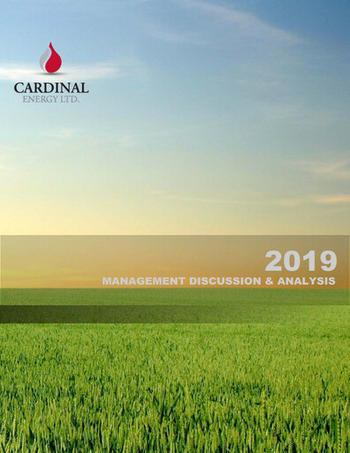 Miniature Cardinal Energy Rapport financier 2019