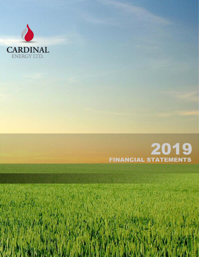 Miniature Cardinal Energy Bilan financier 2019