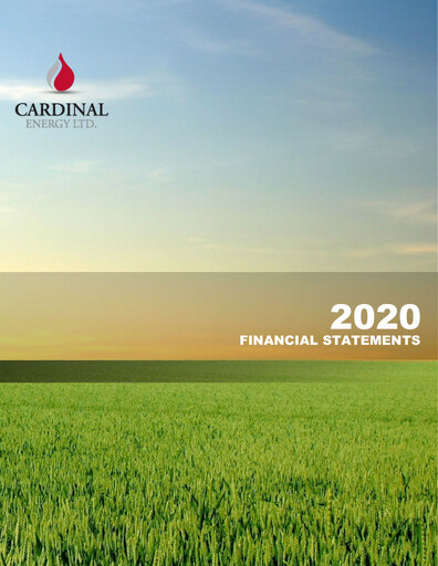 Miniature Cardinal Energy Bilan financier 2020