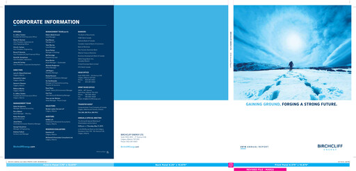 Vorschaubild Birchcliff Energy Jahresbericht 2016