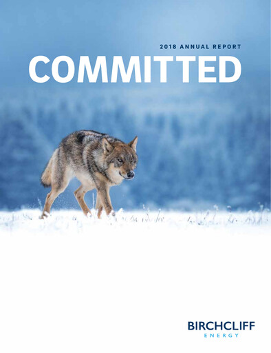 Vorschaubild Birchcliff Energy Jahresbericht 2018