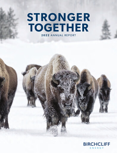 Vorschaubild Birchcliff Energy Jahresbericht 2022