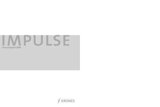 Miniature Krones Rapport annuel 2008