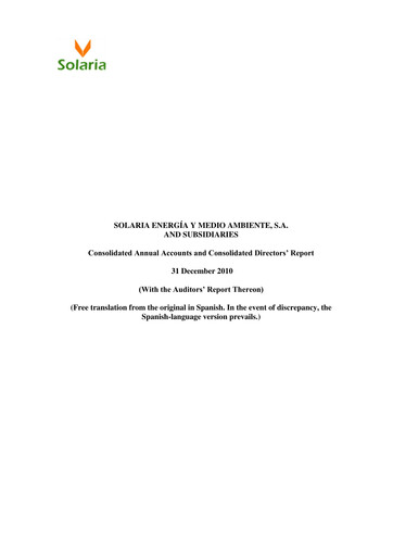 Thumbnail Solaria Energía Financial Statement 2010