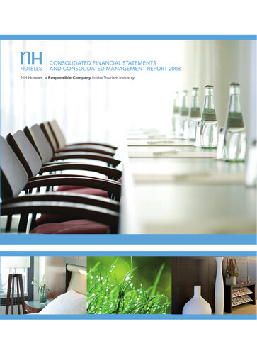 Thumbnail NH Hotel Group Financial Statement 2008