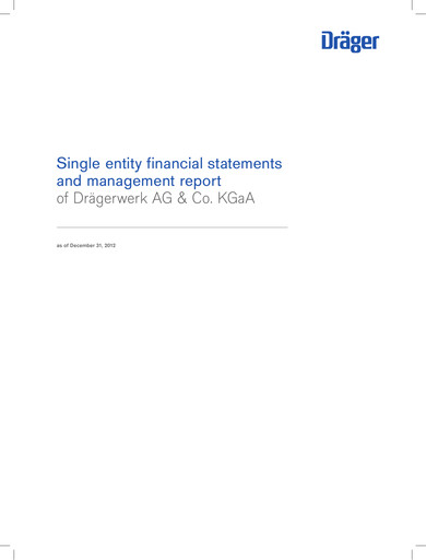 Thumbnail Drägerwerk
 Financial Statement 2012