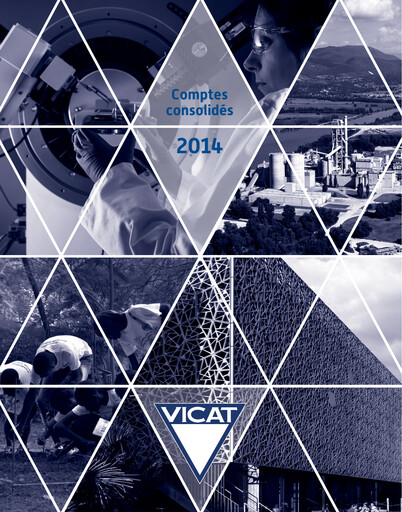 Thumbnail Vicat S.A. Financial Statement 2014