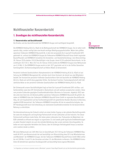 Thumbnail Hornbach Holding
 ESG Report 2017-2018