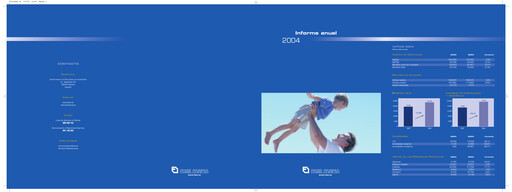 Thumbnail Faes Farma Annual Report 2004