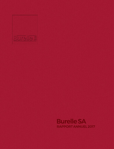 Thumbnail Burelle Annual Report 2017