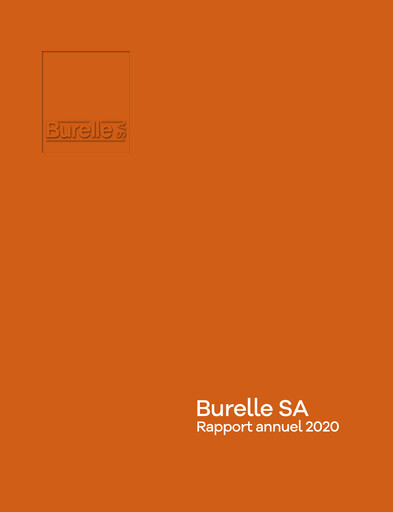 Thumbnail Burelle Annual Report 2020