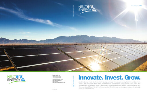 Thumbnail Nextera Energy Annual Report 2013
