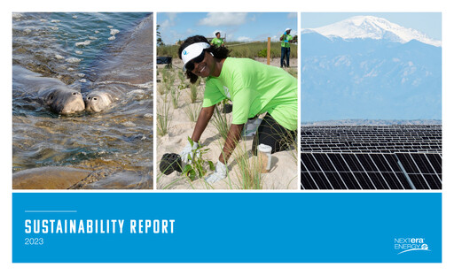 Vorschaubild Nextera Energy Nachhaltigkeitsbericht 2023