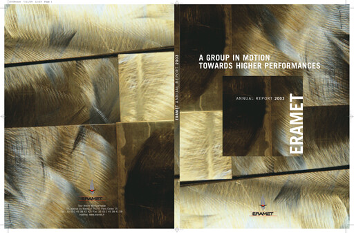 Thumbnail Eramet Annual Report 2003