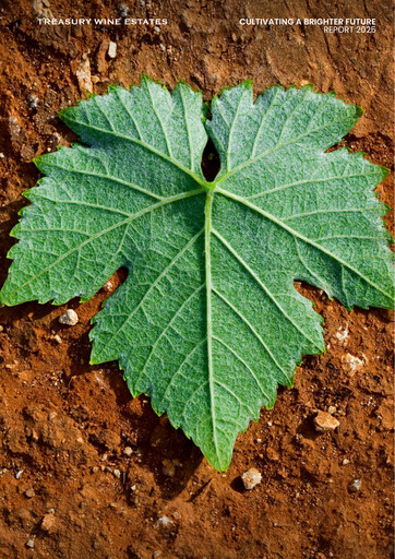 Thumbnail Treasury Wine Estates
 Sustainability Report 2025