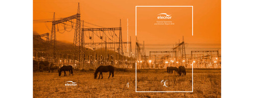 Thumbnail Elecnor Financial Statement 2018