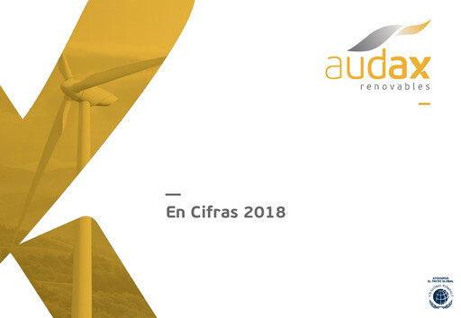 Thumbnail Audax Renovables Annual Report 2018