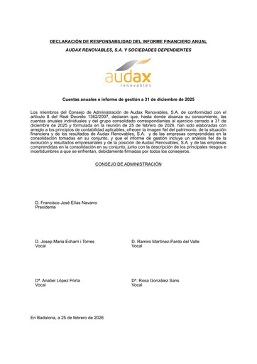 Thumbnail Audax Renovables Financial Statement 2025