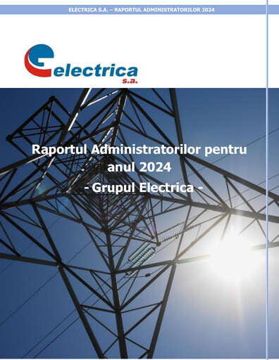 Miniature Electrica
 Rapport financier 2024