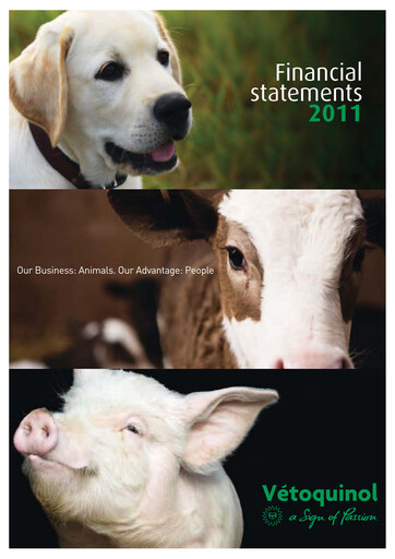 Thumbnail Vetoquinol Financial Statement 2011