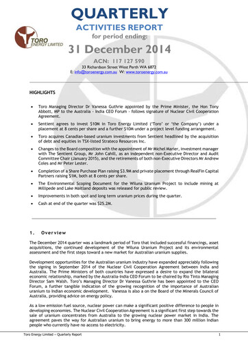 Vorschaubild Toro Energy Quartalsbericht 2014-q4