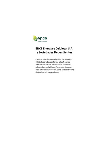 Thumbnail ENCE Energía y Celulosa Financial Statement 2016