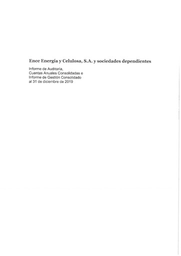 Thumbnail ENCE Energía y Celulosa Financial Statement 2019