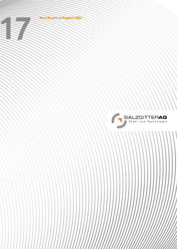 Vorschaubild Salzgitter ESG-Bericht 2017