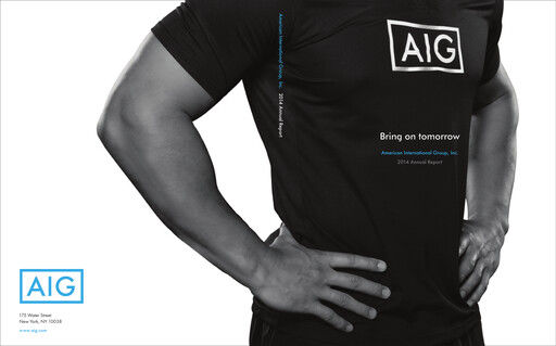 Thumbnail American International Group Annual Report 2014
