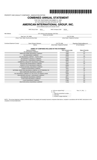 Thumbnail American International Group Financial Statement 2022