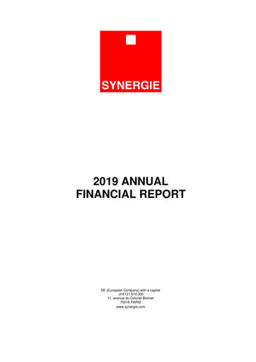 Thumbnail Synergie SE Financial Report 2019